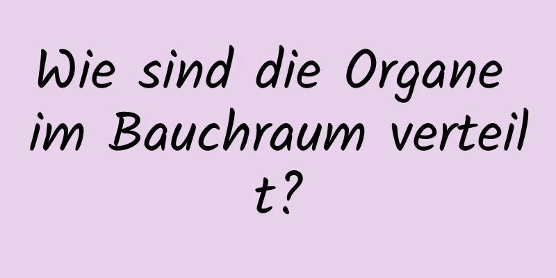 Wie sind die Organe im Bauchraum verteilt?