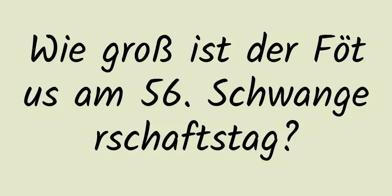 Wie groß ist der Fötus am 56. Schwangerschaftstag?