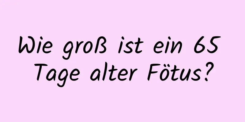 Wie groß ist ein 65 Tage alter Fötus?