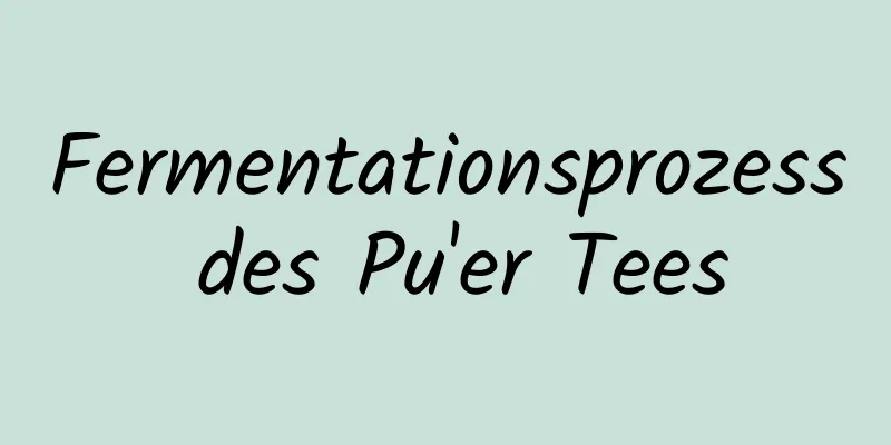Fermentationsprozess des Pu'er Tees