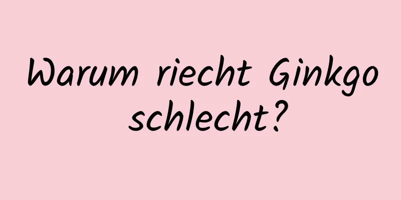 Warum riecht Ginkgo schlecht?