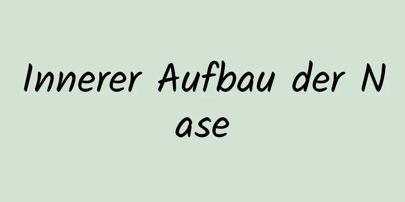 Innerer Aufbau der Nase