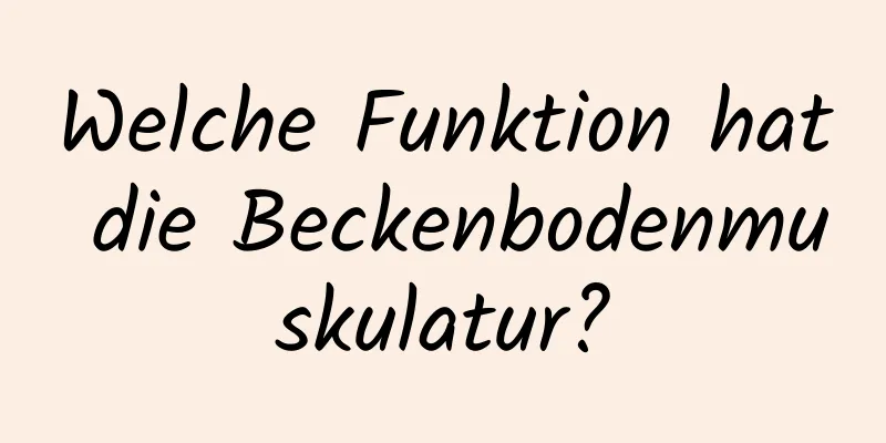 Welche Funktion hat die Beckenbodenmuskulatur?