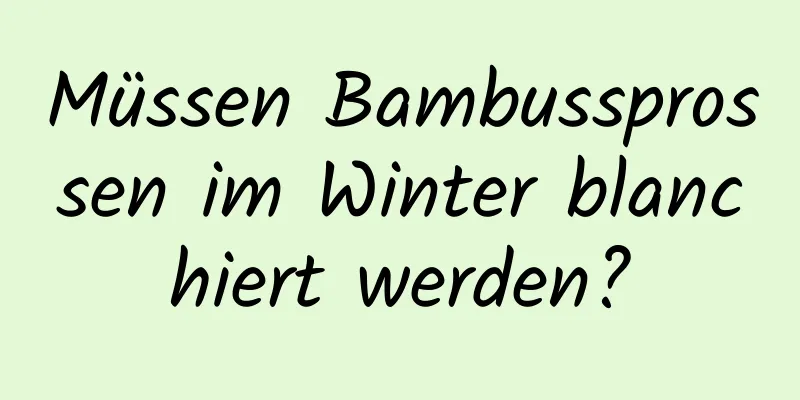 Müssen Bambussprossen im Winter blanchiert werden?