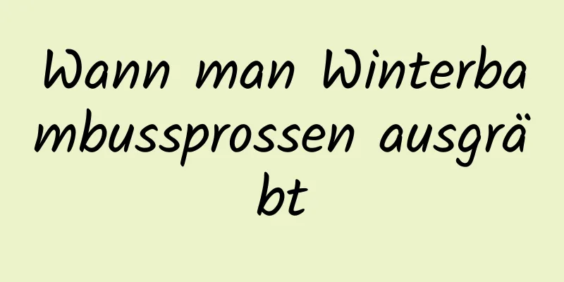 Wann man Winterbambussprossen ausgräbt