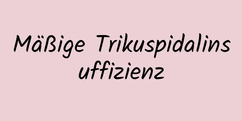 Mäßige Trikuspidalinsuffizienz