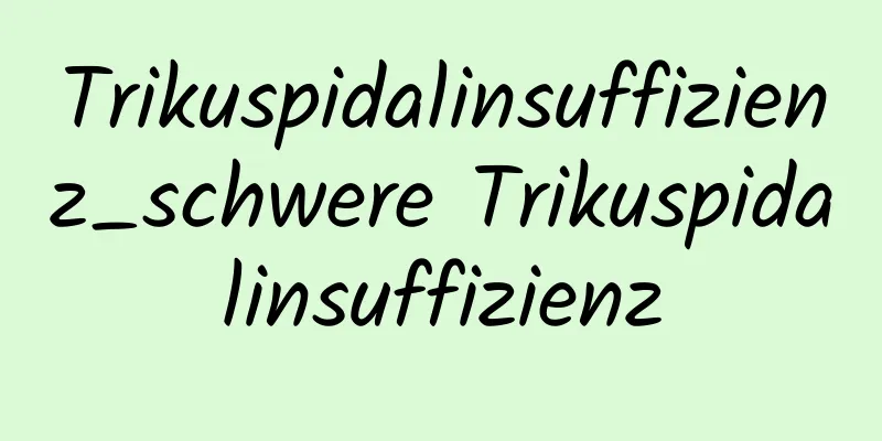 Trikuspidalinsuffizienz_schwere Trikuspidalinsuffizienz