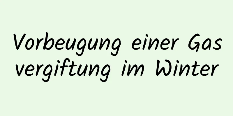 Vorbeugung einer Gasvergiftung im Winter