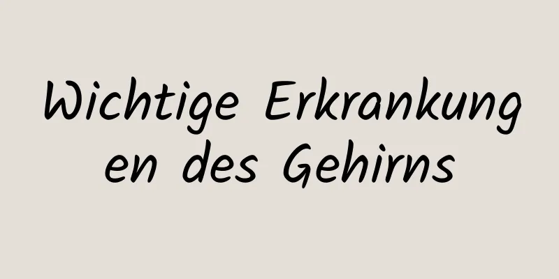 Wichtige Erkrankungen des Gehirns