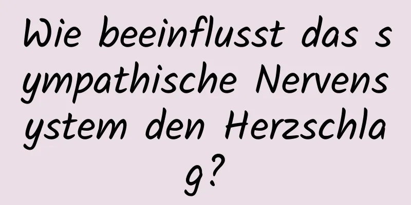 Wie beeinflusst das sympathische Nervensystem den Herzschlag?