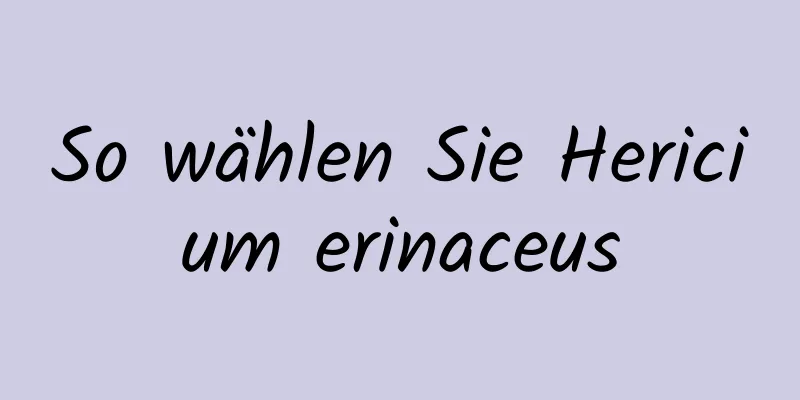So wählen Sie Hericium erinaceus