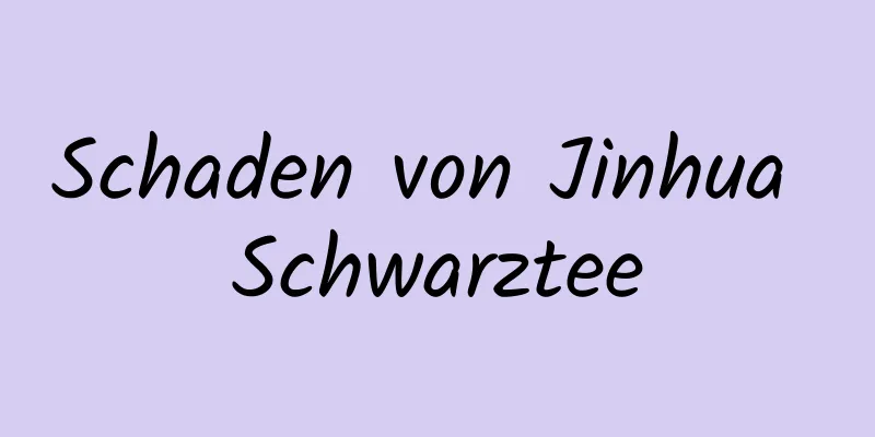 Schaden von Jinhua Schwarztee