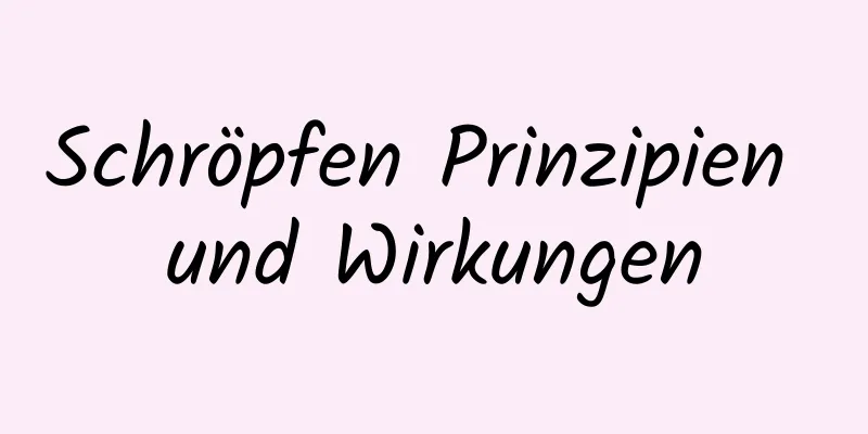 Schröpfen Prinzipien und Wirkungen