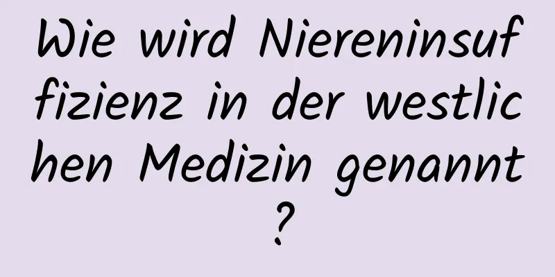 Wie wird Niereninsuffizienz in der westlichen Medizin genannt?