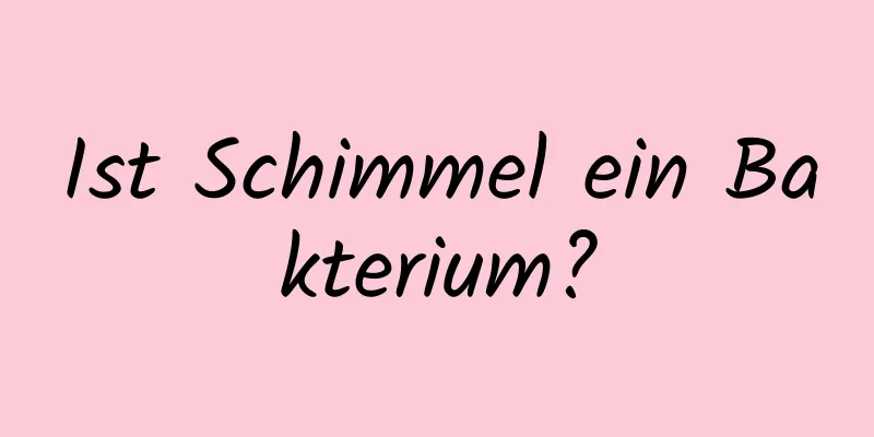 Ist Schimmel ein Bakterium?