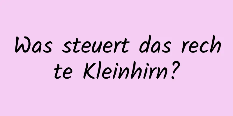 Was steuert das rechte Kleinhirn?