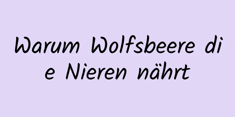 Warum Wolfsbeere die Nieren nährt