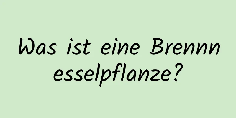 Was ist eine Brennnesselpflanze?