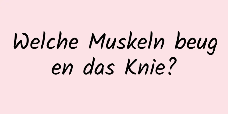 Welche Muskeln beugen das Knie?