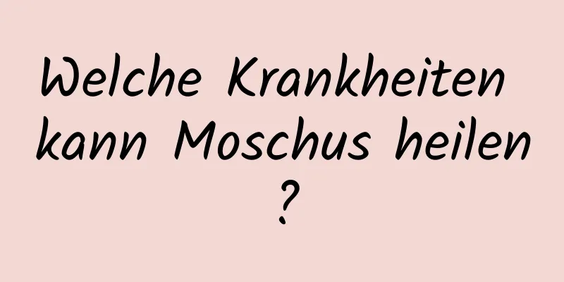 Welche Krankheiten kann Moschus heilen?