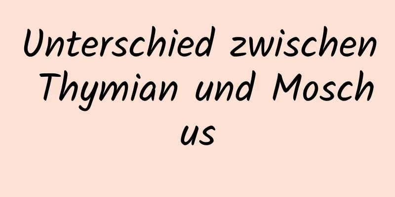 Unterschied zwischen Thymian und Moschus