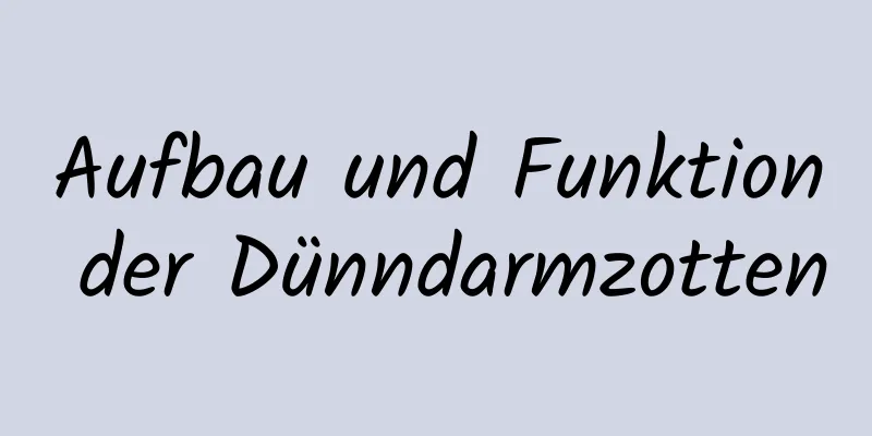 Aufbau und Funktion der Dünndarmzotten