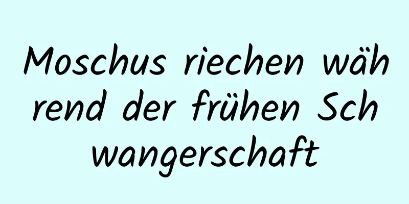 Moschus riechen während der frühen Schwangerschaft