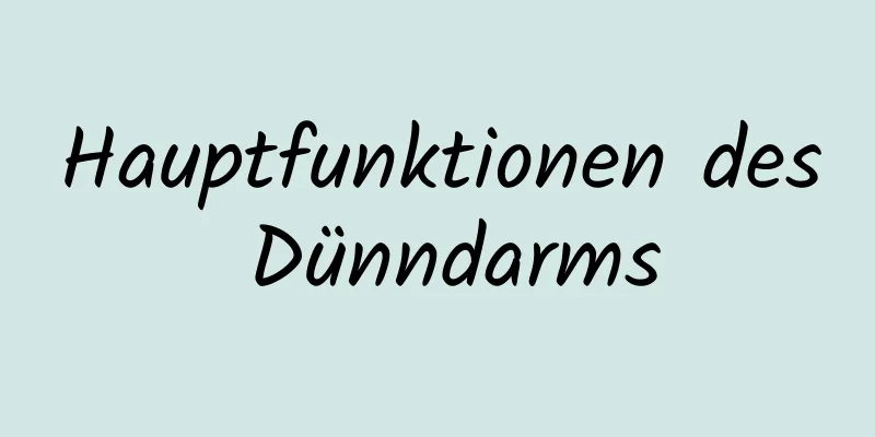 Hauptfunktionen des Dünndarms