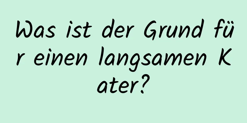 Was ist der Grund für einen langsamen Kater?