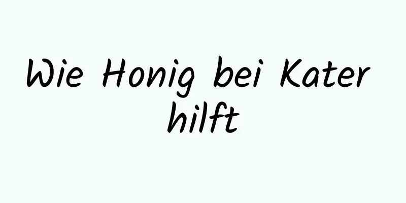 Wie Honig bei Kater hilft
