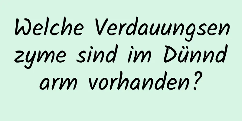 Welche Verdauungsenzyme sind im Dünndarm vorhanden?