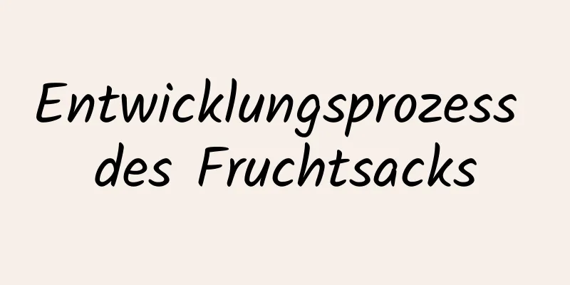 Entwicklungsprozess des Fruchtsacks