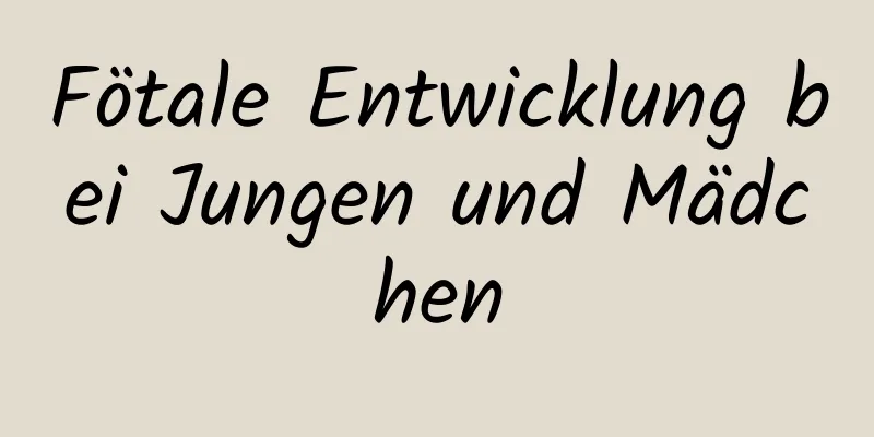 Fötale Entwicklung bei Jungen und Mädchen