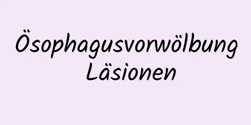Ösophagusvorwölbung Läsionen
