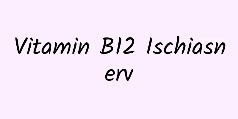 Vitamin B12 Ischiasnerv