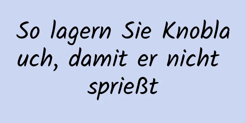 So lagern Sie Knoblauch, damit er nicht sprießt