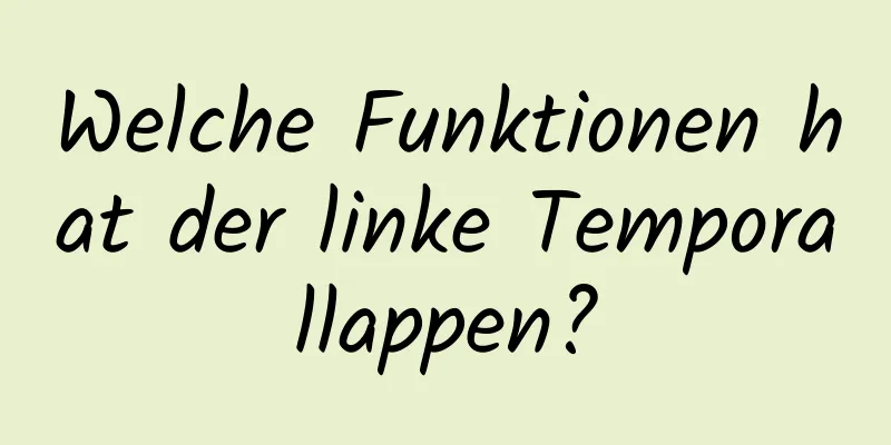 Welche Funktionen hat der linke Temporallappen?