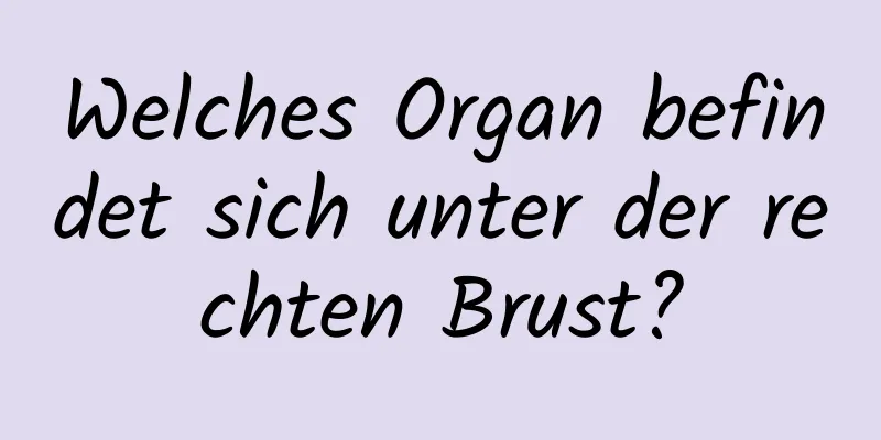 Welches Organ befindet sich unter der rechten Brust?