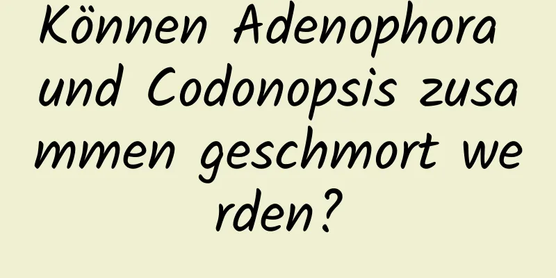 Können Adenophora und Codonopsis zusammen geschmort werden?