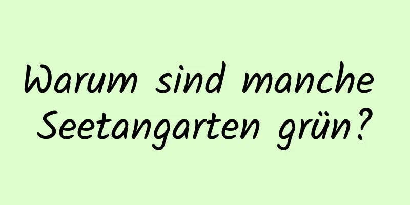 Warum sind manche Seetangarten grün?