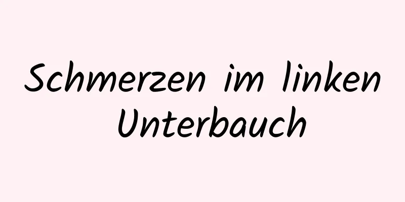 Schmerzen im linken Unterbauch