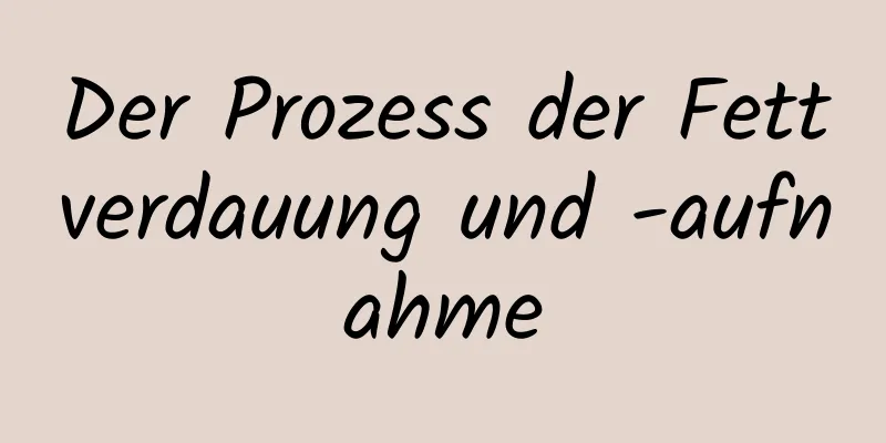 Der Prozess der Fettverdauung und -aufnahme