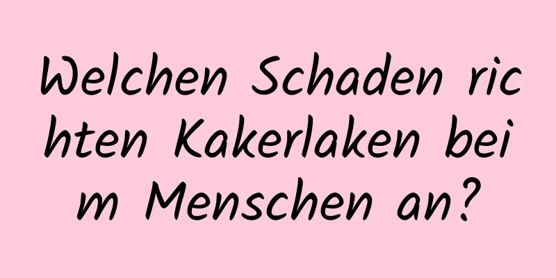 Welchen Schaden richten Kakerlaken beim Menschen an?