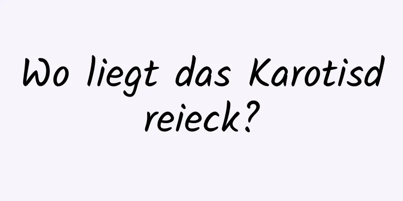 Wo liegt das Karotisdreieck?