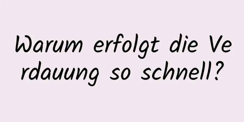 Warum erfolgt die Verdauung so schnell?