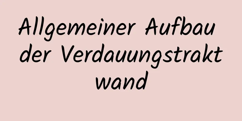 Allgemeiner Aufbau der Verdauungstraktwand