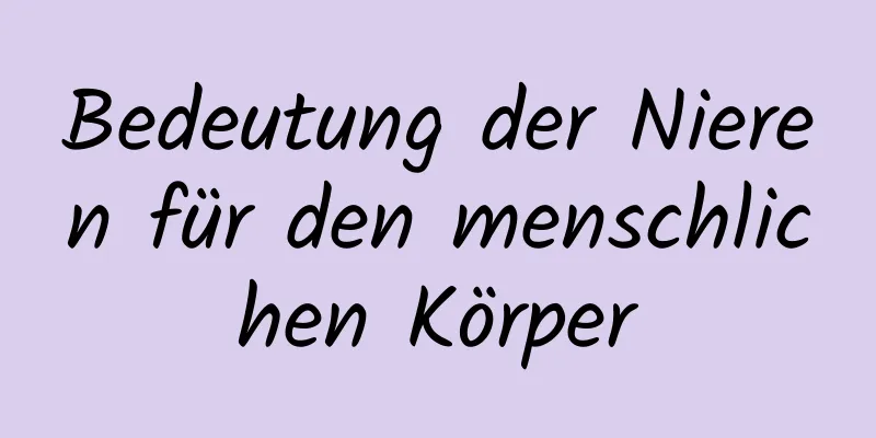 Bedeutung der Nieren für den menschlichen Körper