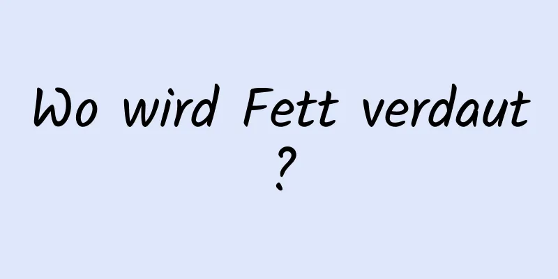 Wo wird Fett verdaut?