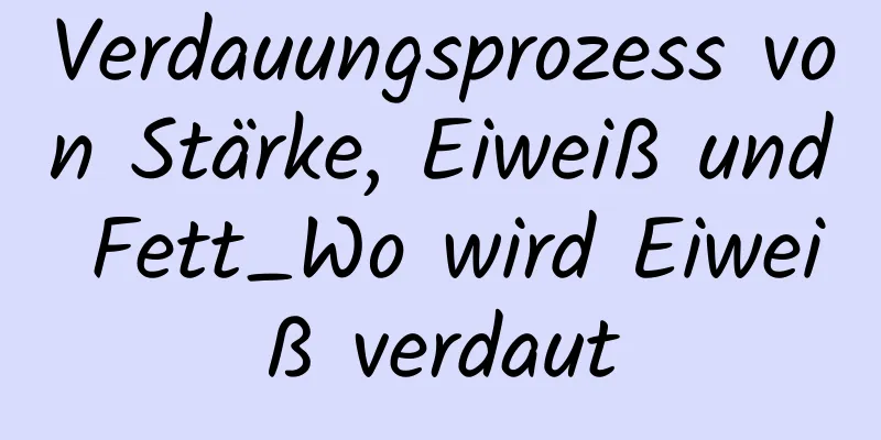 Verdauungsprozess von Stärke, Eiweiß und Fett_Wo wird Eiweiß verdaut