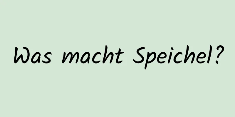 Was macht Speichel?